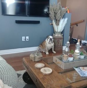 Meet your Posher, Véronique